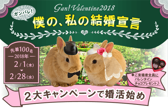 先着100名様限定:「入会金0円」または「成婚料0円」バレンタインキャンペーン「僕の、私の結婚宣言!」期間:2018年2月1日(木)〜2月28日(水)